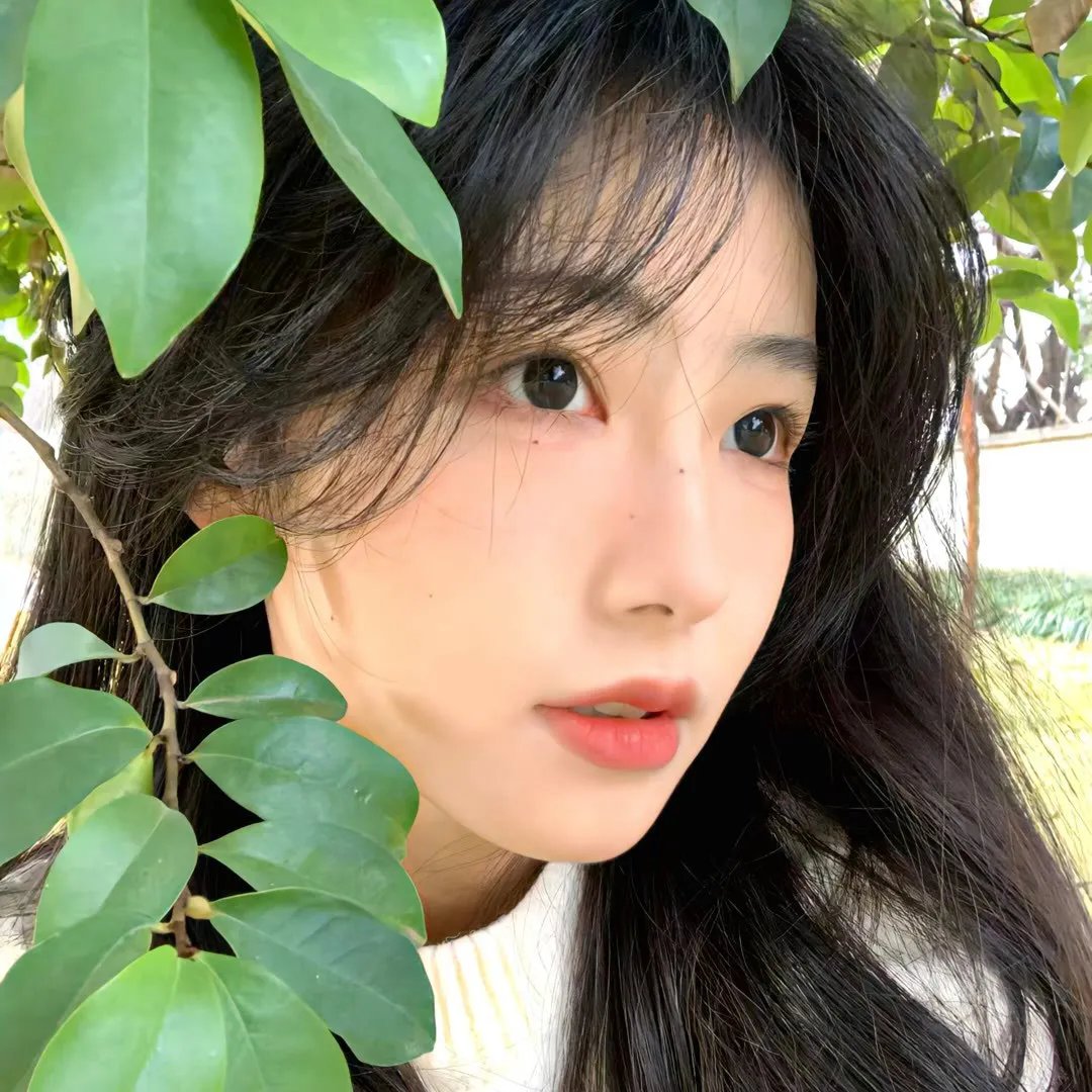 爱情与战争